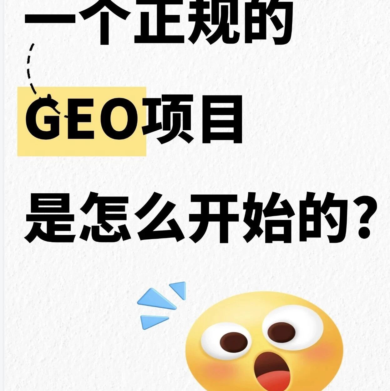 一个正规 GEO 项目是怎么开始的？